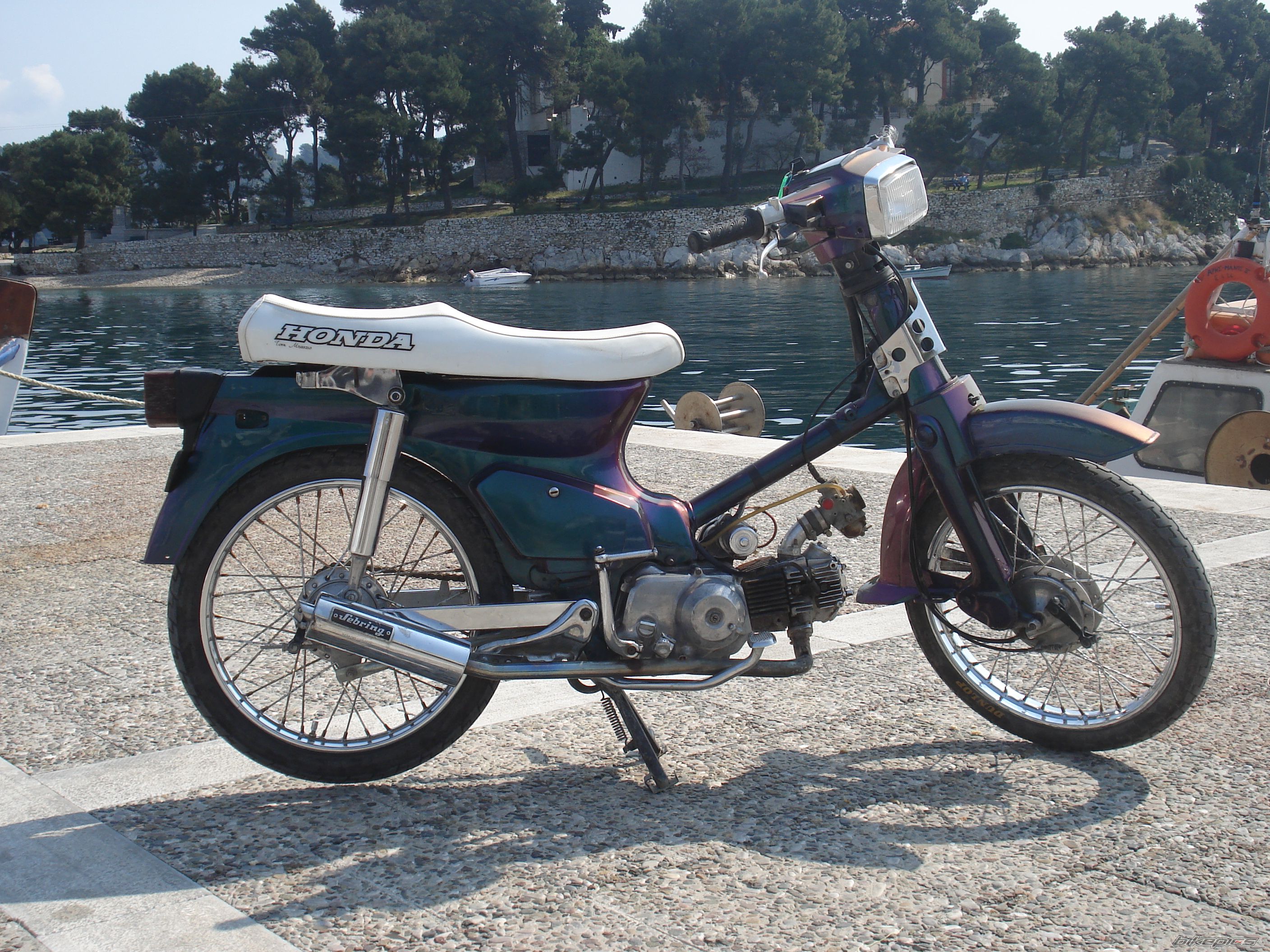 2007 HONDA GLX 50 | Picture 831364 motorcycle photo