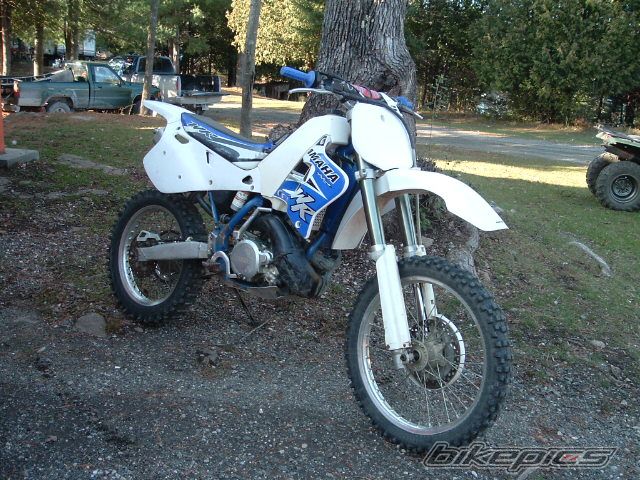 1995 YAMAHA YZ250WR | Picture 831488 motorcycle photo
