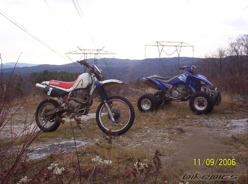 1993 HONDA XR 600 | Picture 831704 motorcycle photo