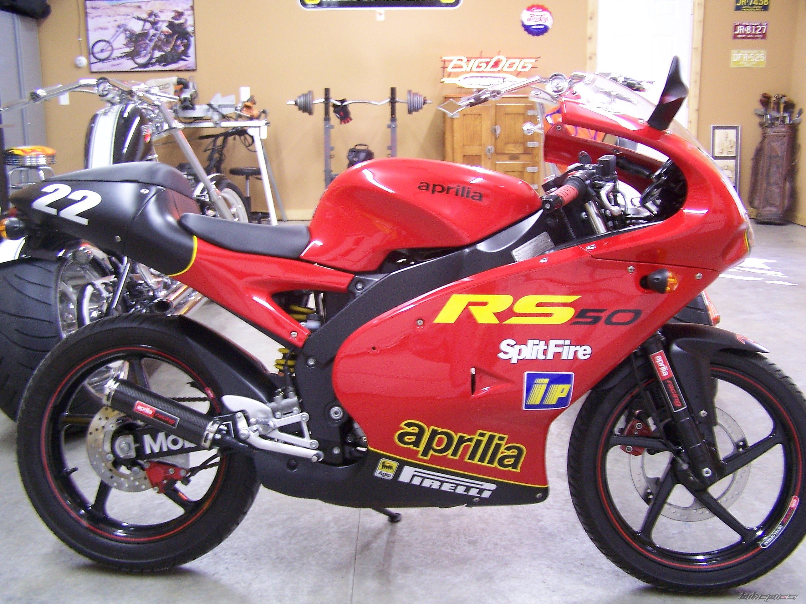 2005 APRILIA RS 50 | Picture 831931 motorcycle photo