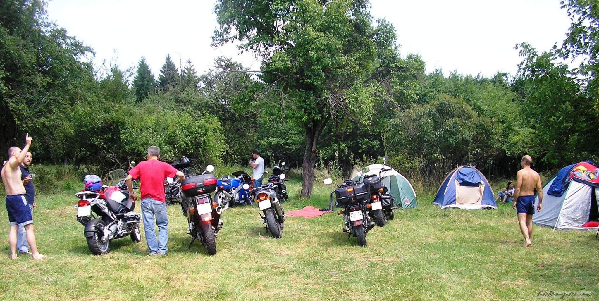    | Picture 831995 motorcycle photo