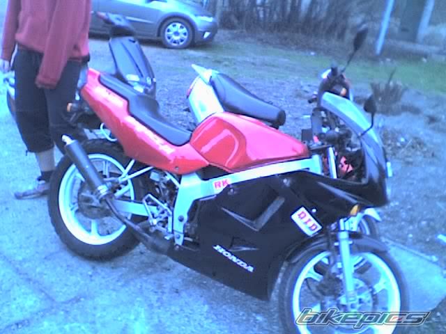 1994 HONDA NS1 80 | Picture 832074 motorcycle photo