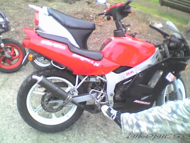 1994 HONDA NS1 80 | Picture 832076 motorcycle photo