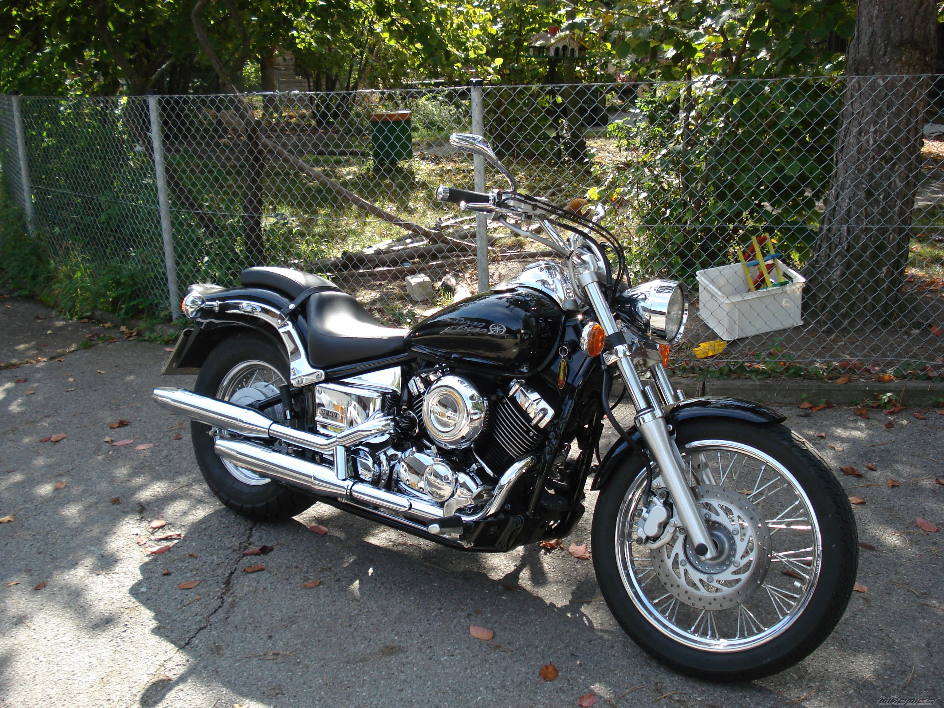 2003 YAMAHA XVS 650 V STAR | Picture 832979 motorcycle photo