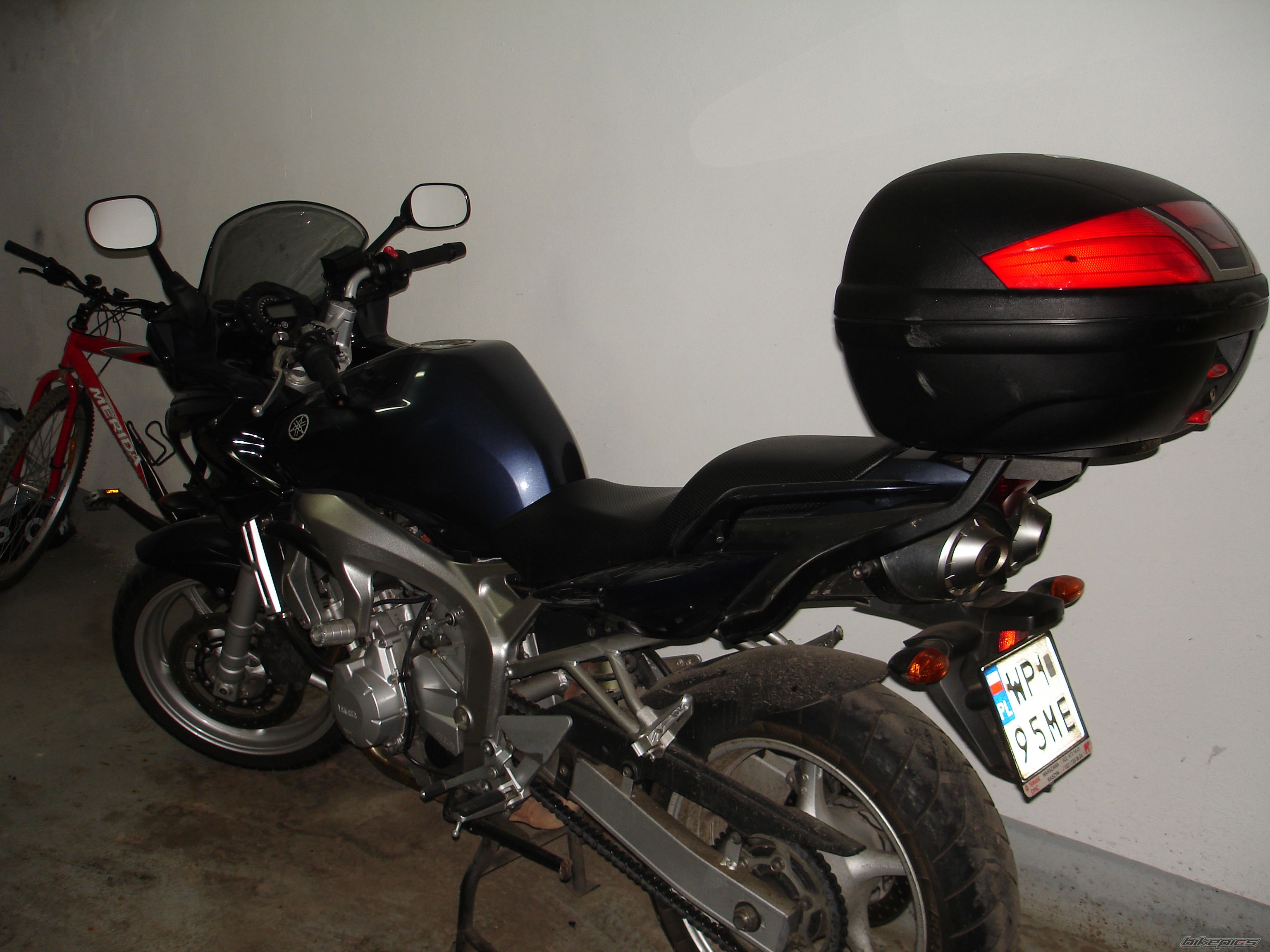 2004 YAMAHA FZ6 FAZER | Picture 832989 motorcycle photo