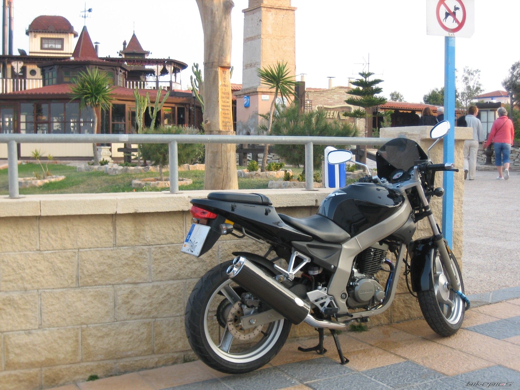 2004 DAELIM ROADWIN | Picture 833231 motorcycle photo