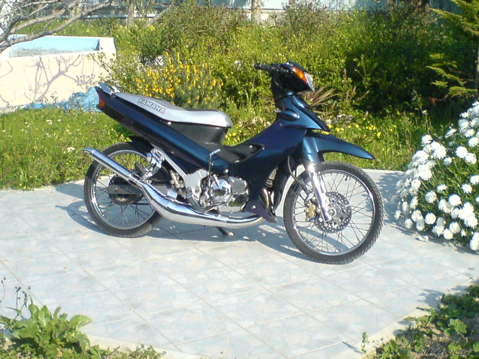 2007 YAMAHA 125 Z | Picture 833412 motorcycle photo