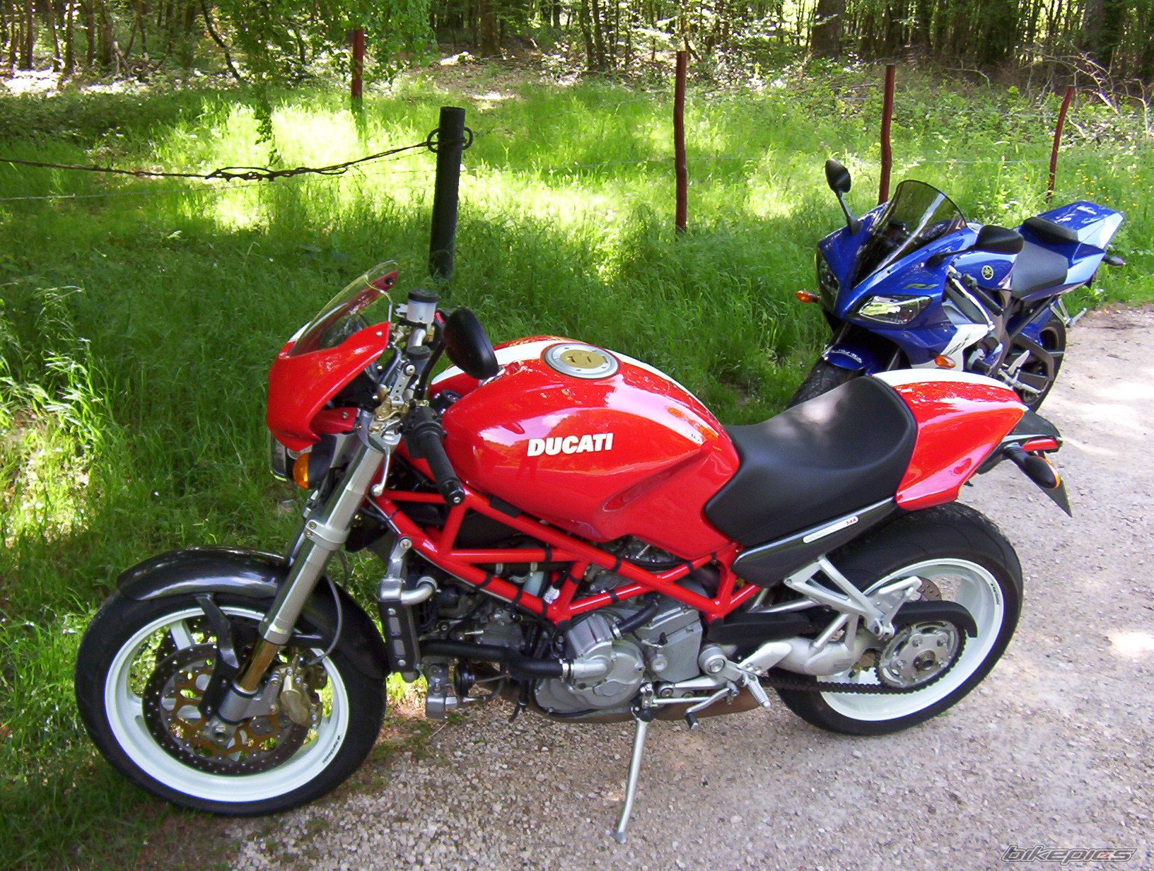 2006 DUCATI MONSTER S4R | Picture 834398 motorcycle photo