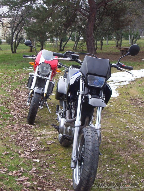 1998 YAMAHA XT 600 | Picture 834429 motorcycle photo