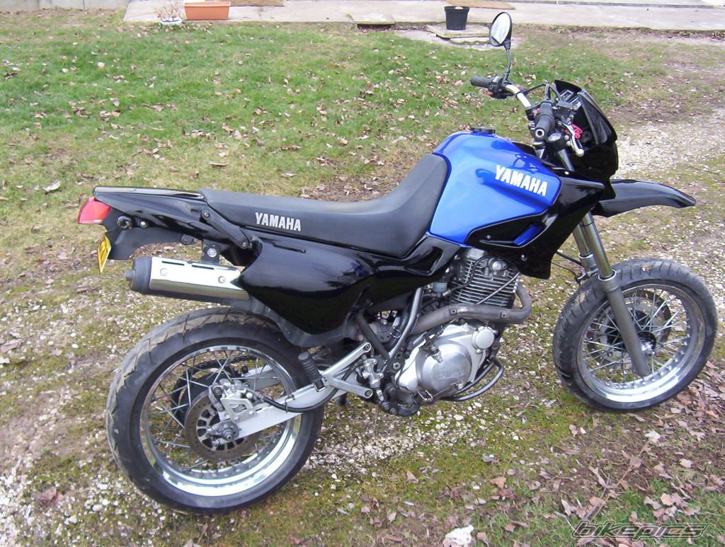 1998 YAMAHA XT 600 | Picture 834436 motorcycle photo