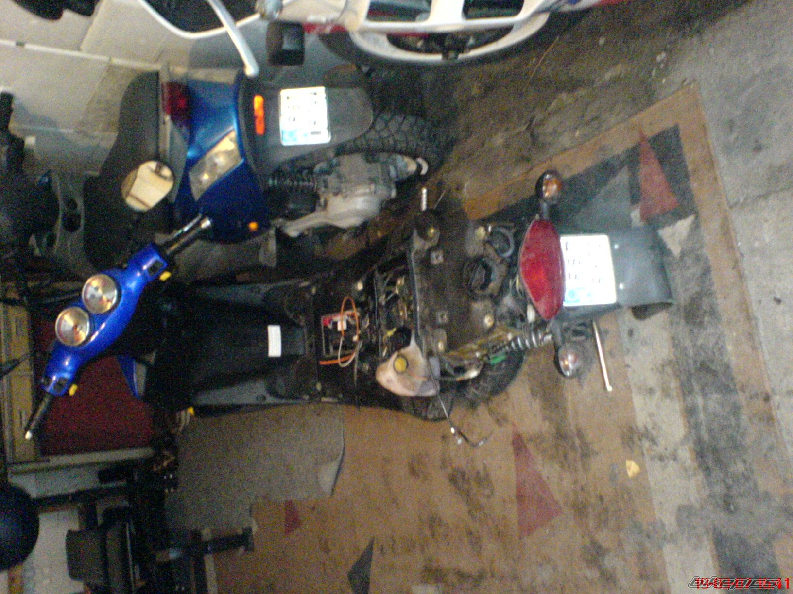 2006 TGB 303 RS | Picture 834845 motorcycle photo