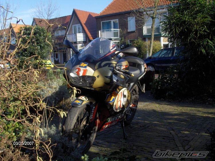 2001 APRILIA RS 50 | Picture 835636 motorcycle photo
