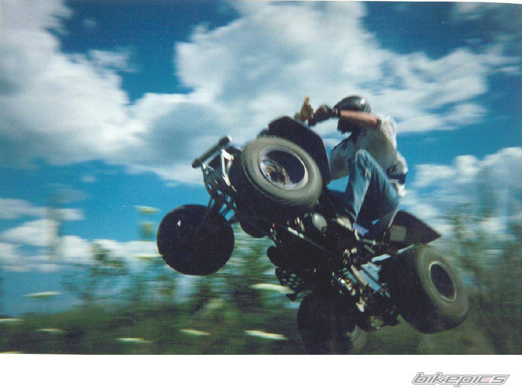 1994 YAMAHA BANSHEE | Picture 83597 motorcycle photo