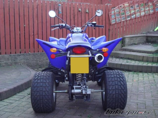 2005 YAMAHA RAPTOR 350 | Picture 836000 motorcycle photo