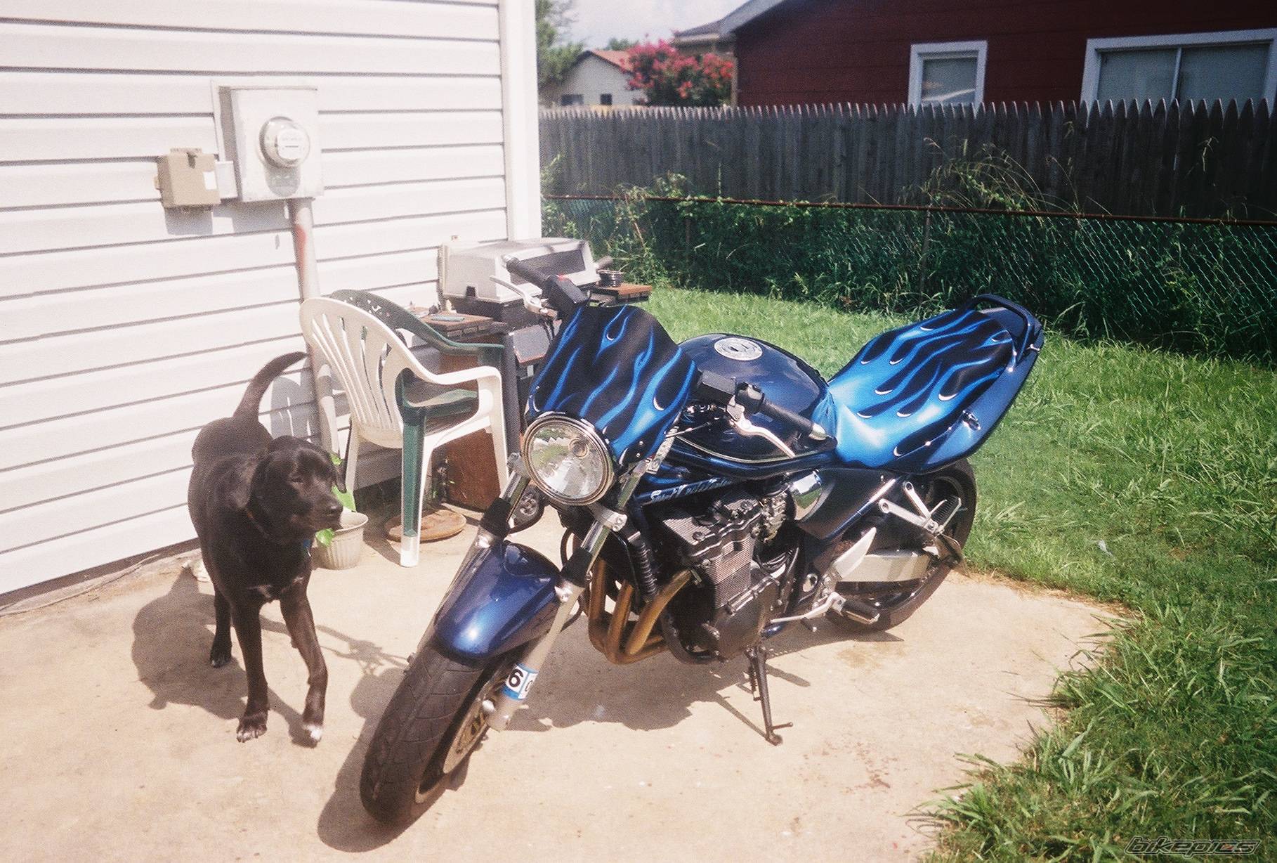 2002 SUZUKI BANDIT 1200 | Picture 83609 motorcycle photo
