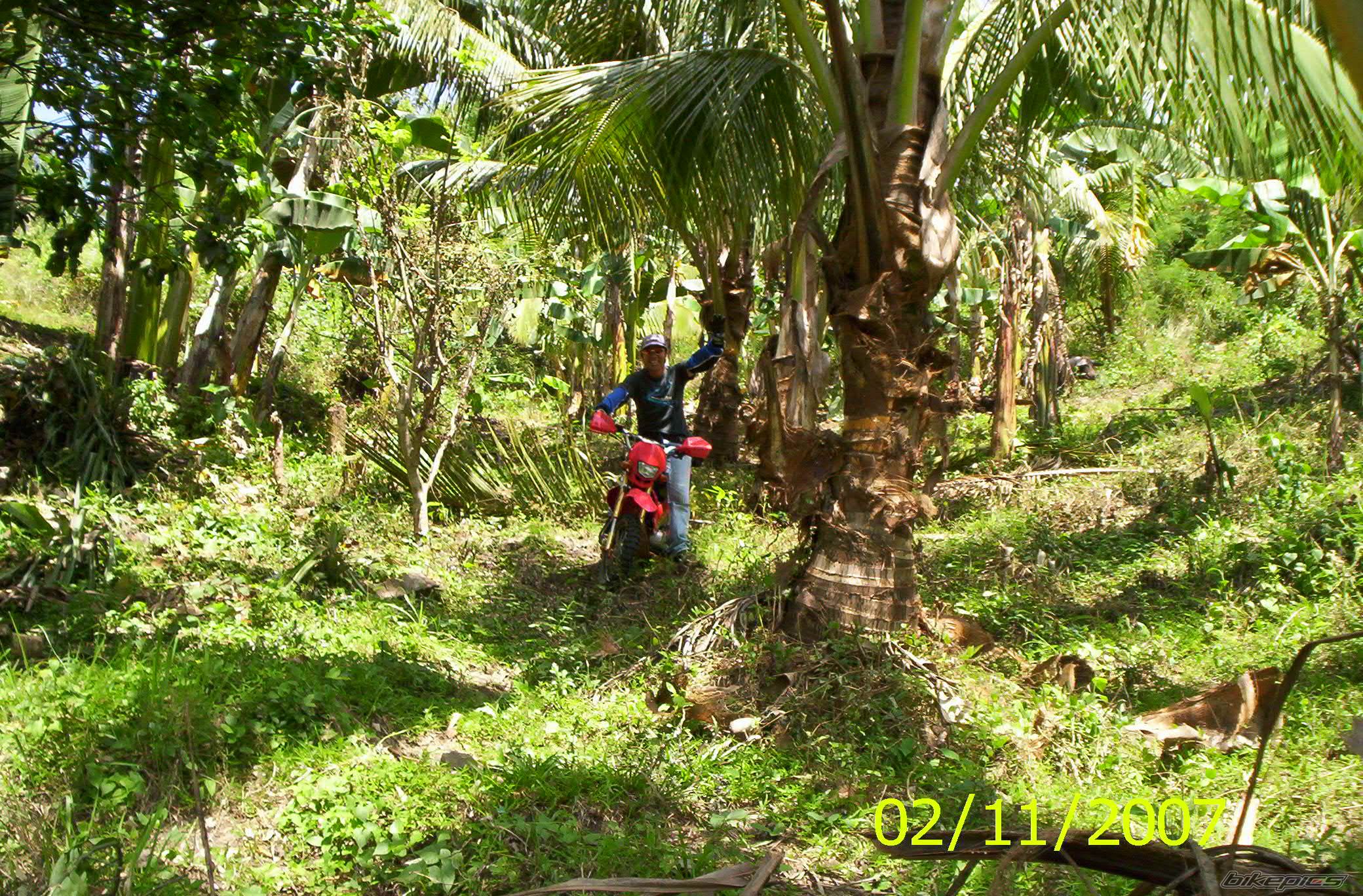 2007 HONDA XRM 110 | Picture 836336 motorcycle photo