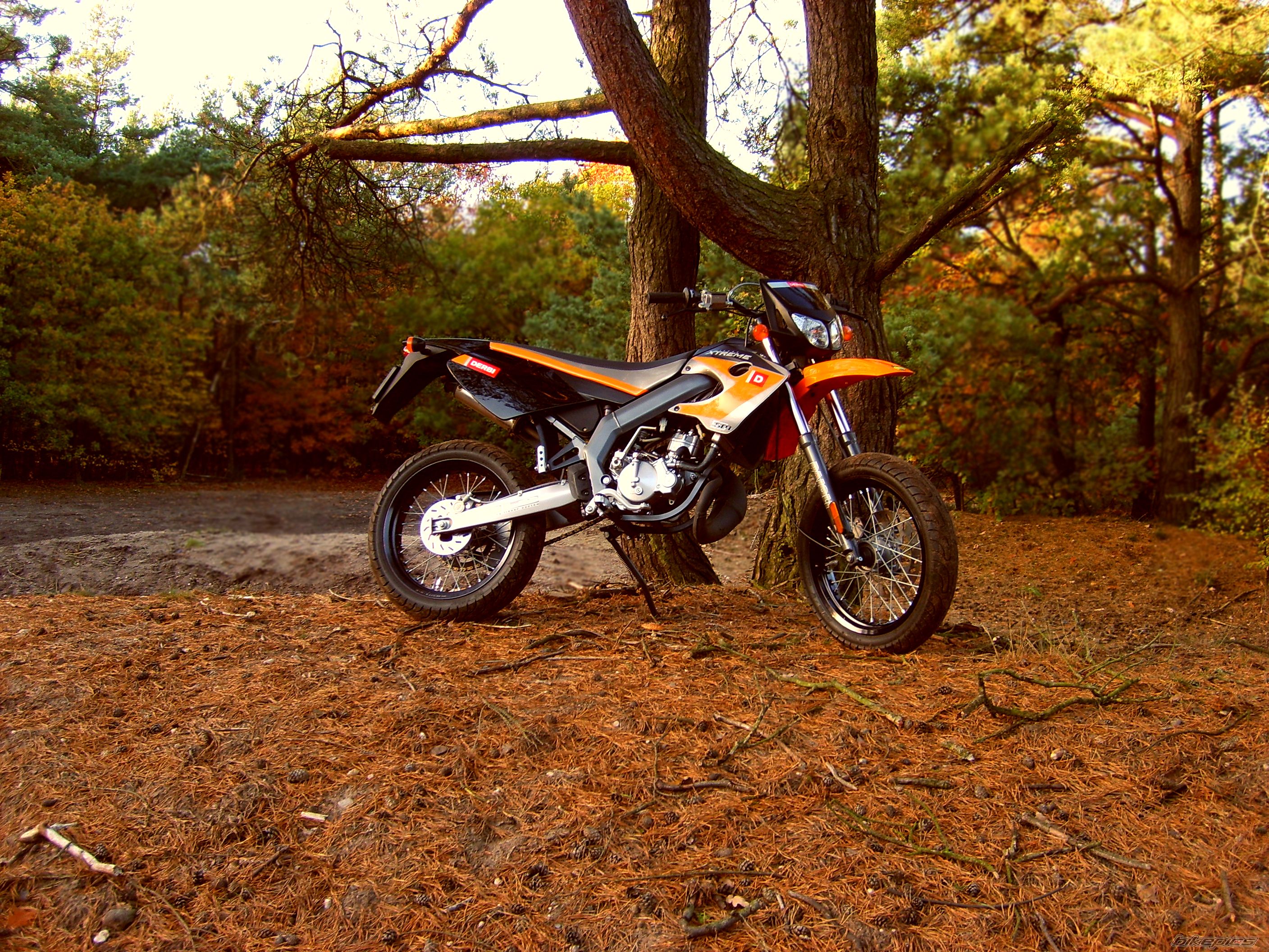 2006 DERBI SENDA SM 50 | Picture 836418 motorcycle photo