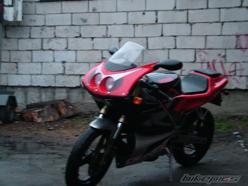 2000 DERBI GPR 50 REPLICA | Picture 836499 motorcycle photo