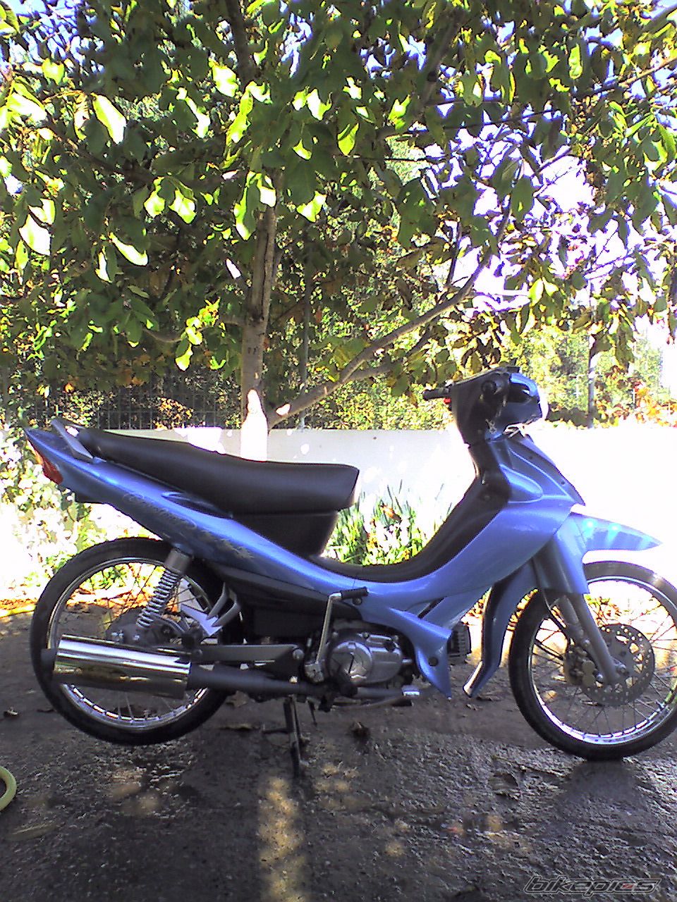 2007 YAMAHA CRYPTON R 04 | Picture 837508 motorcycle photo