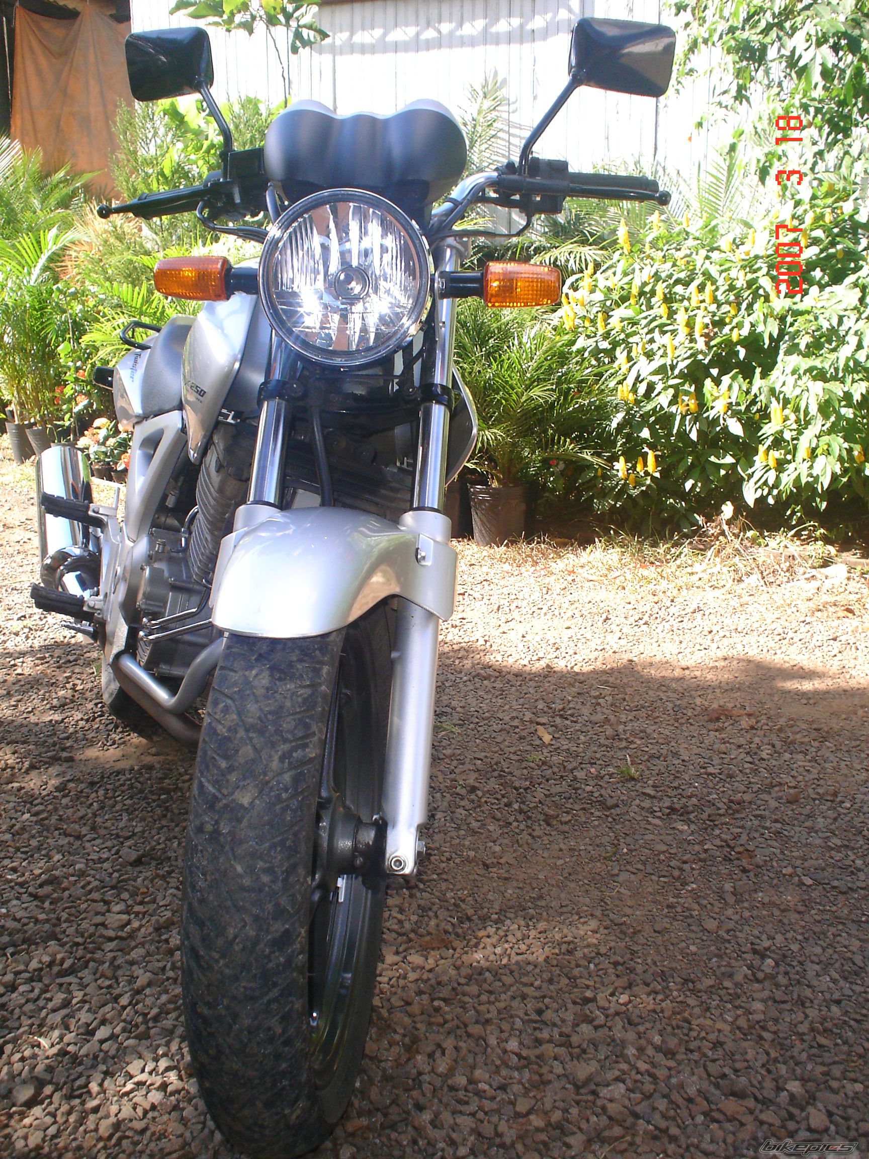 2006 HONDA CBX 250 | Picture 838788 motorcycle photo