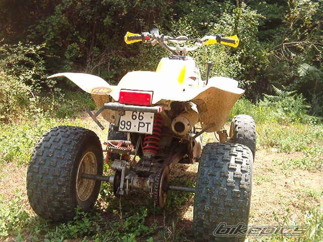 2000 POLARIS TRAIL BLAZER 250 | Picture 83881 motorcycle photo