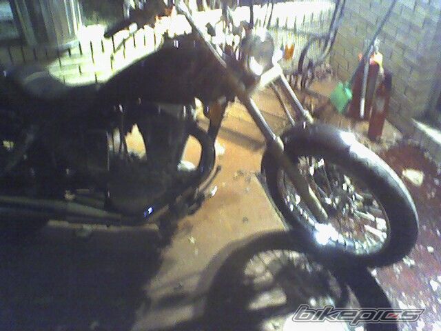 1986 SUZUKI SAVAGE | Picture 839084 motorcycle photo