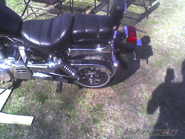 1986 SUZUKI SAVAGE | Picture 839096 motorcycle photo