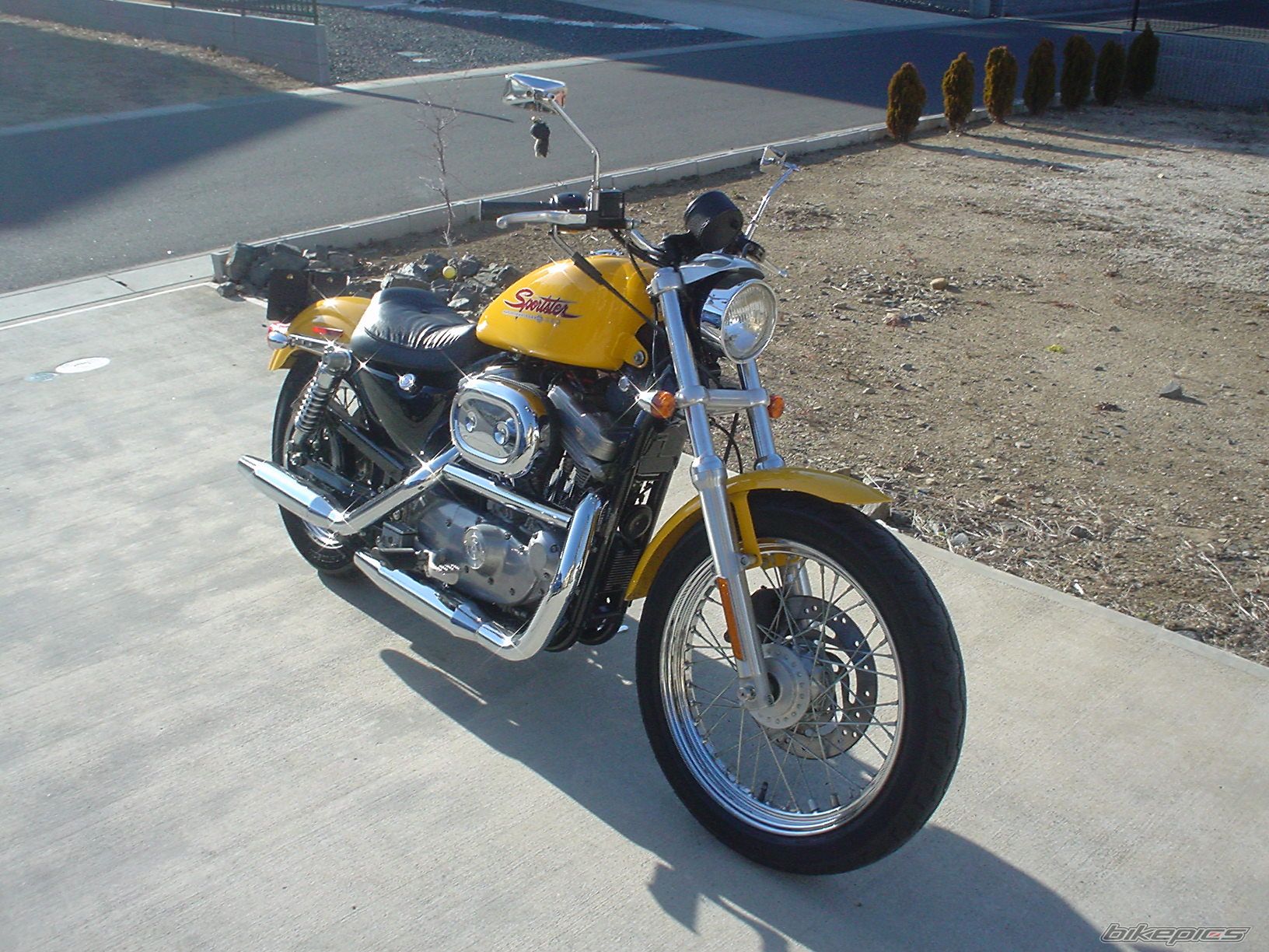 2001 HARLEY DAVIDSON XLH 883 HUGGER | Picture 840544 motorcycle photo