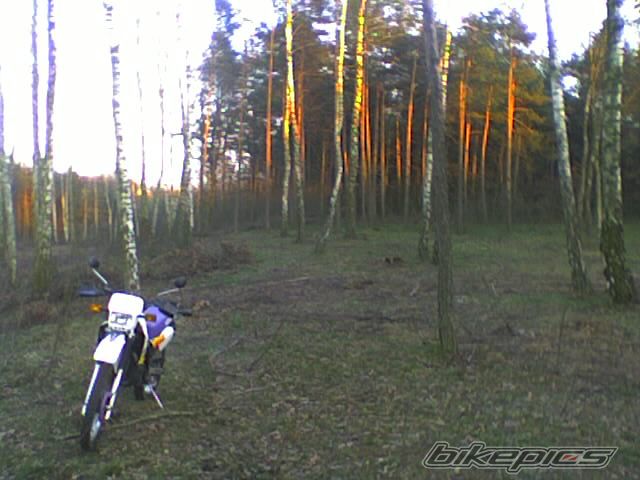 1995 YAMAHA DT 80 | Picture 840555 motorcycle photo