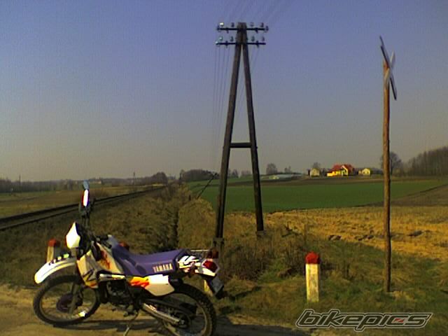 1995 YAMAHA DT 80 | Picture 841365 motorcycle photo