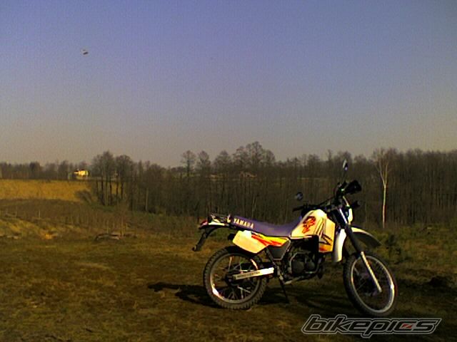 1995 YAMAHA DT 80 | Picture 841383 motorcycle photo