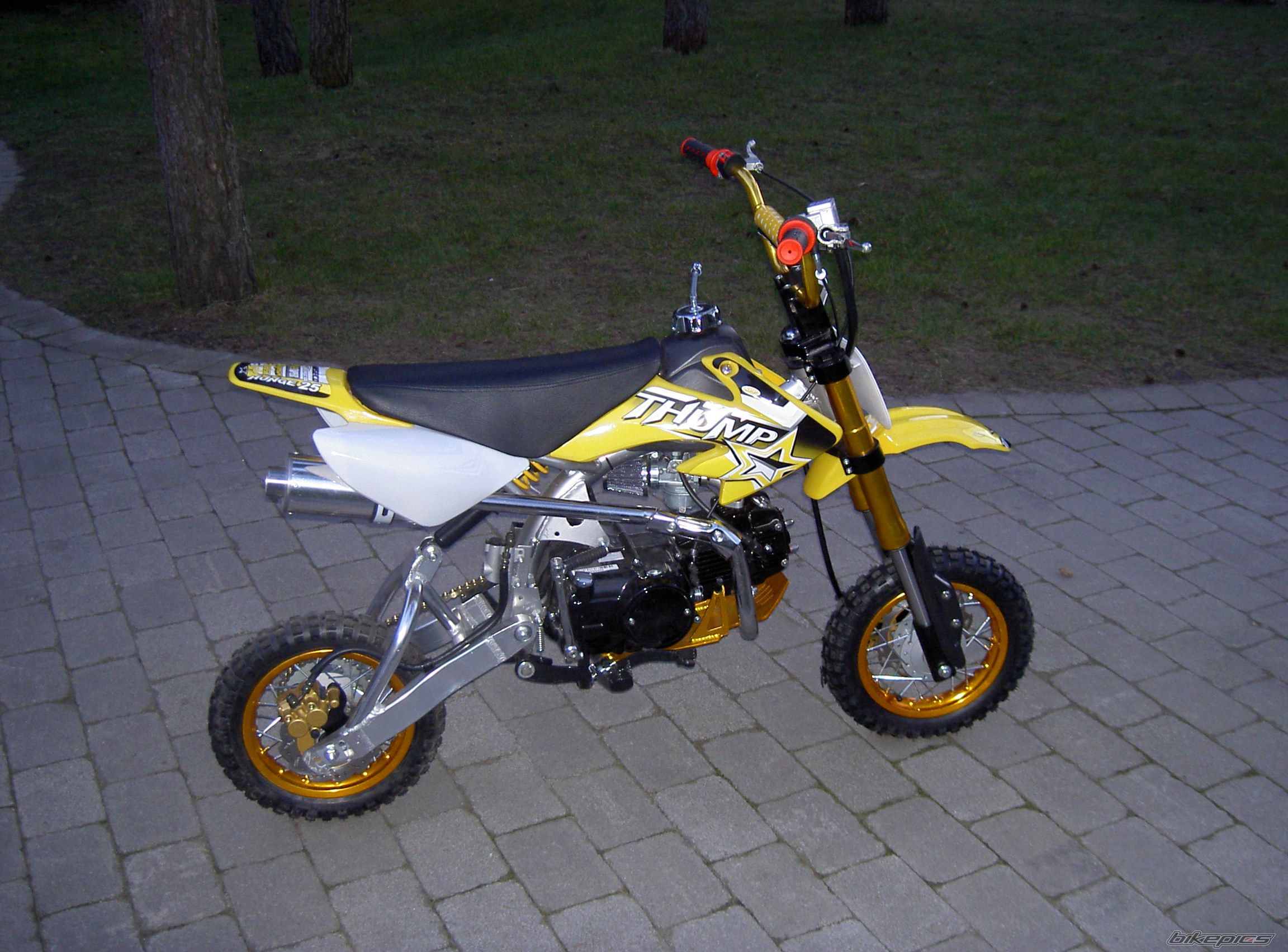 2007 THUMPSTAR THUMPSTAR 125 HUNGE | Picture 841575 motorcycle photo