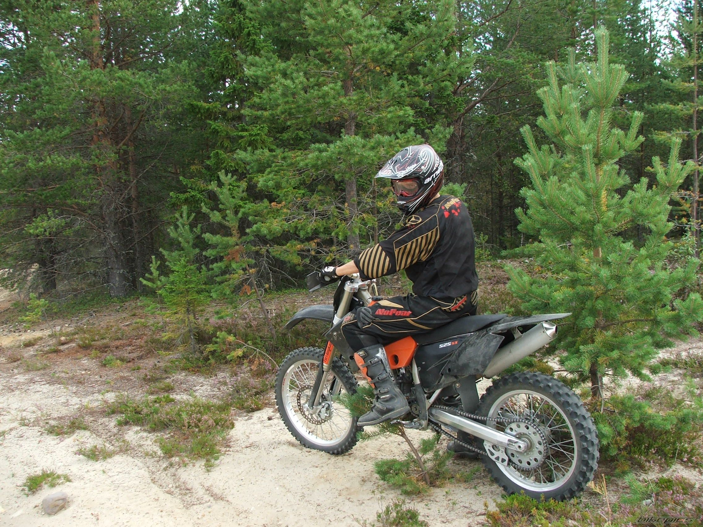 2005 KTM 525 SX | Picture 842045 motorcycle photo