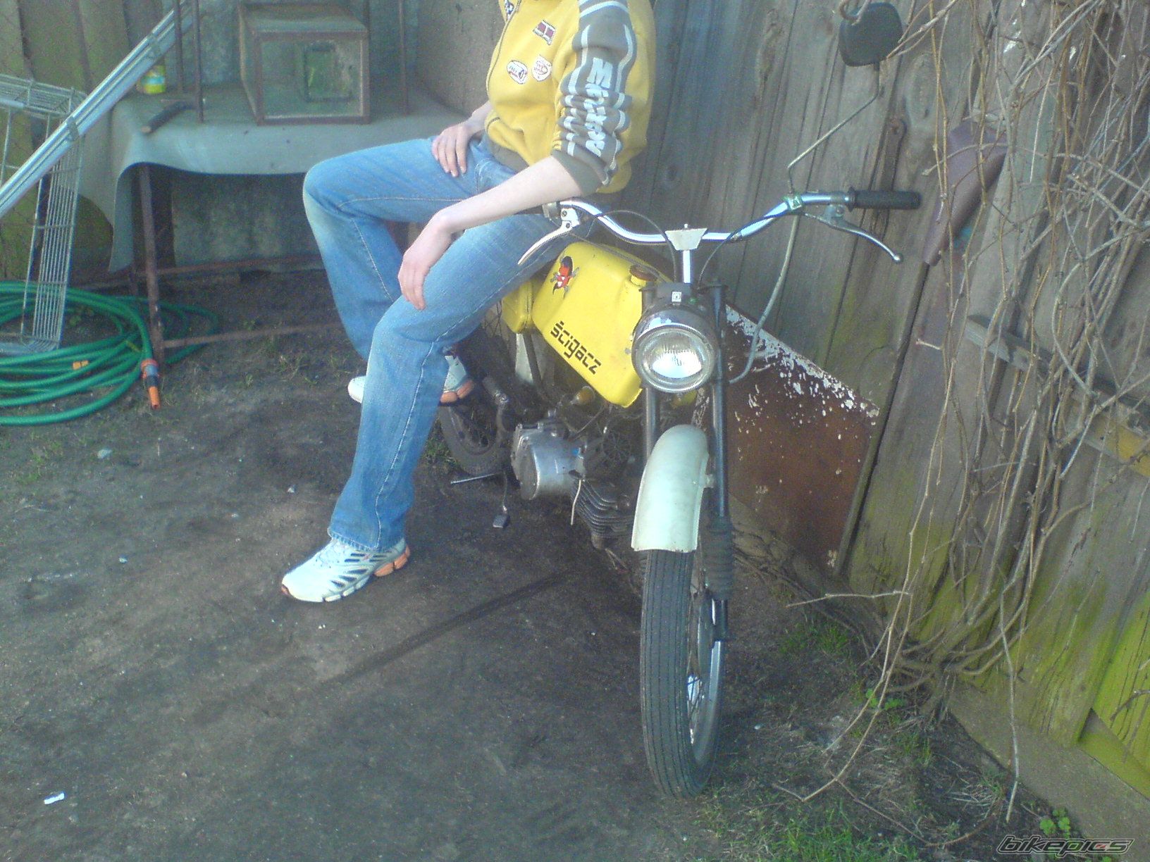 1979 JAWA MUSTANG 50 | Picture 842208 motorcycle photo