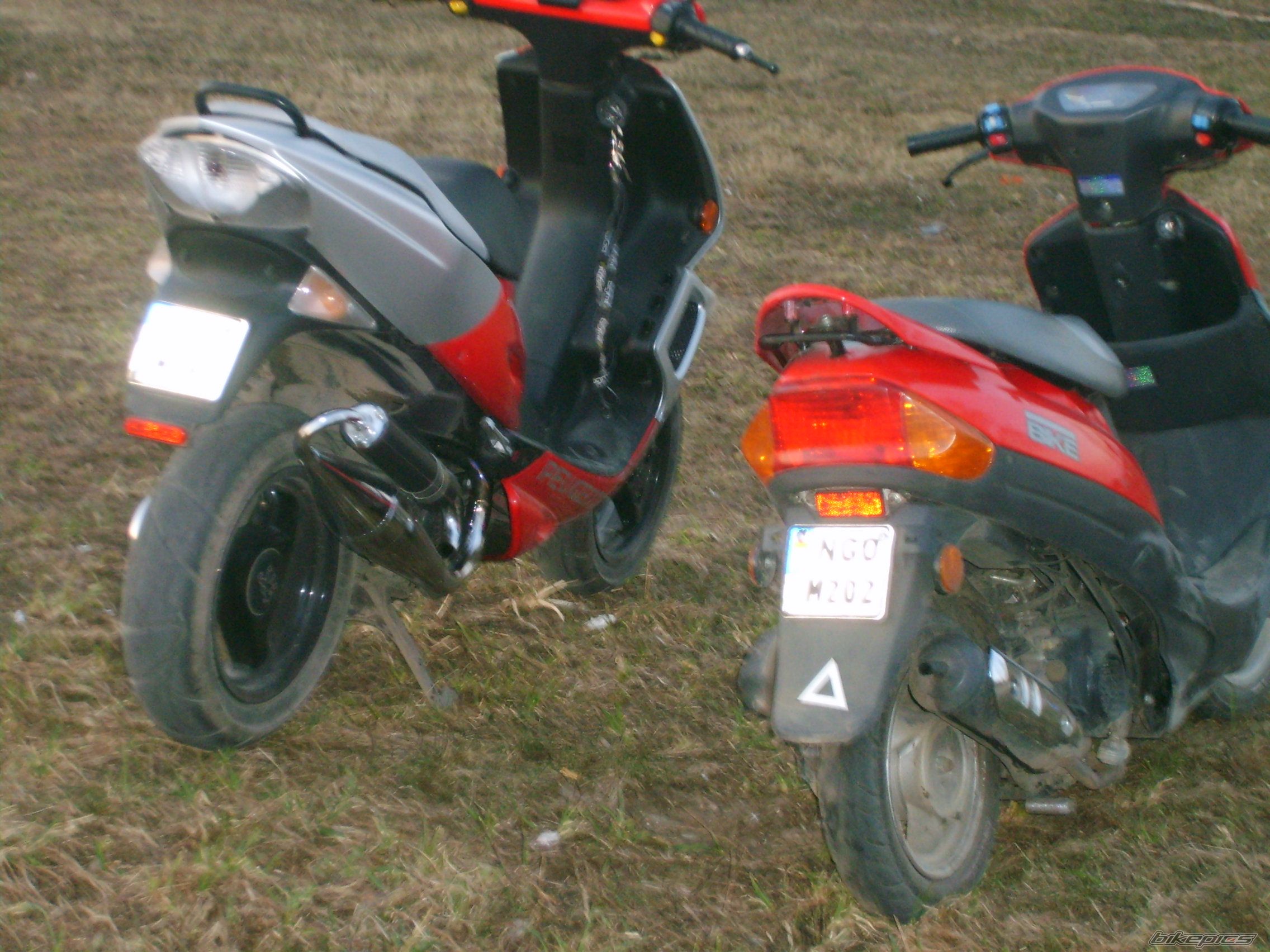 2006 PEUGEOT SPEEDFIGHT2 50 | Picture 842627 motorcycle photo