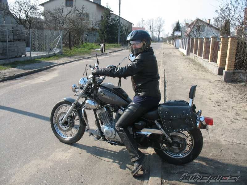 1999 YAMAHA VIRAGO 250 | Picture 843335 motorcycle photo