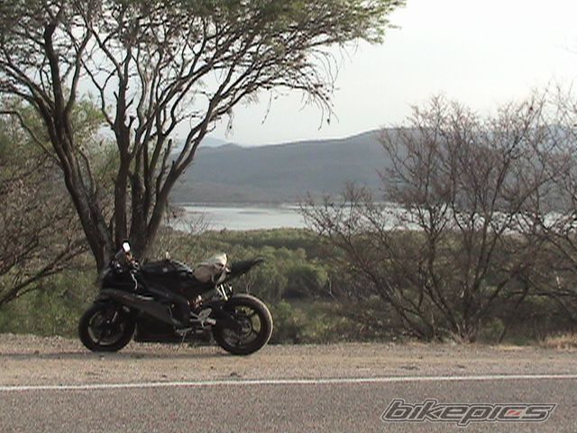 2007 YAMAHA YZF R6 | Picture 844414 motorcycle photo
