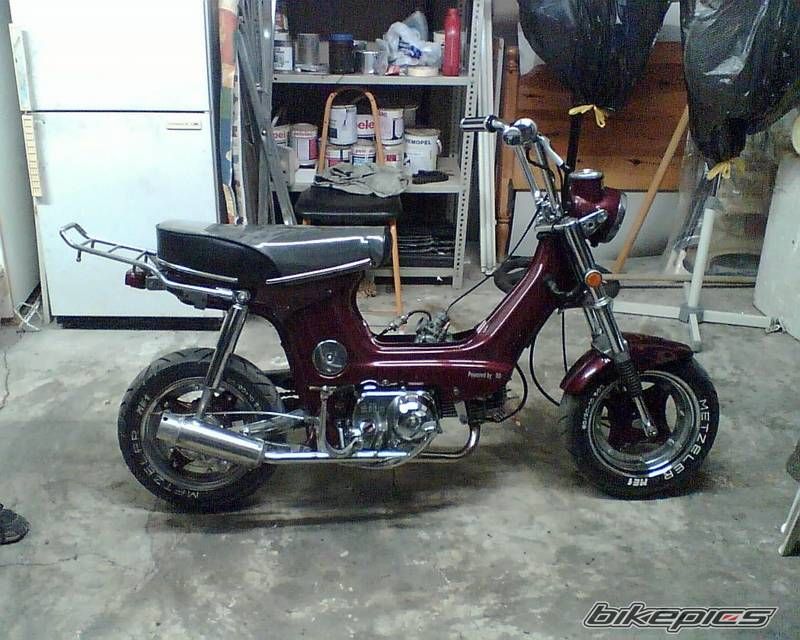 2004 HONDA CHALY | Picture 844533 motorcycle photo