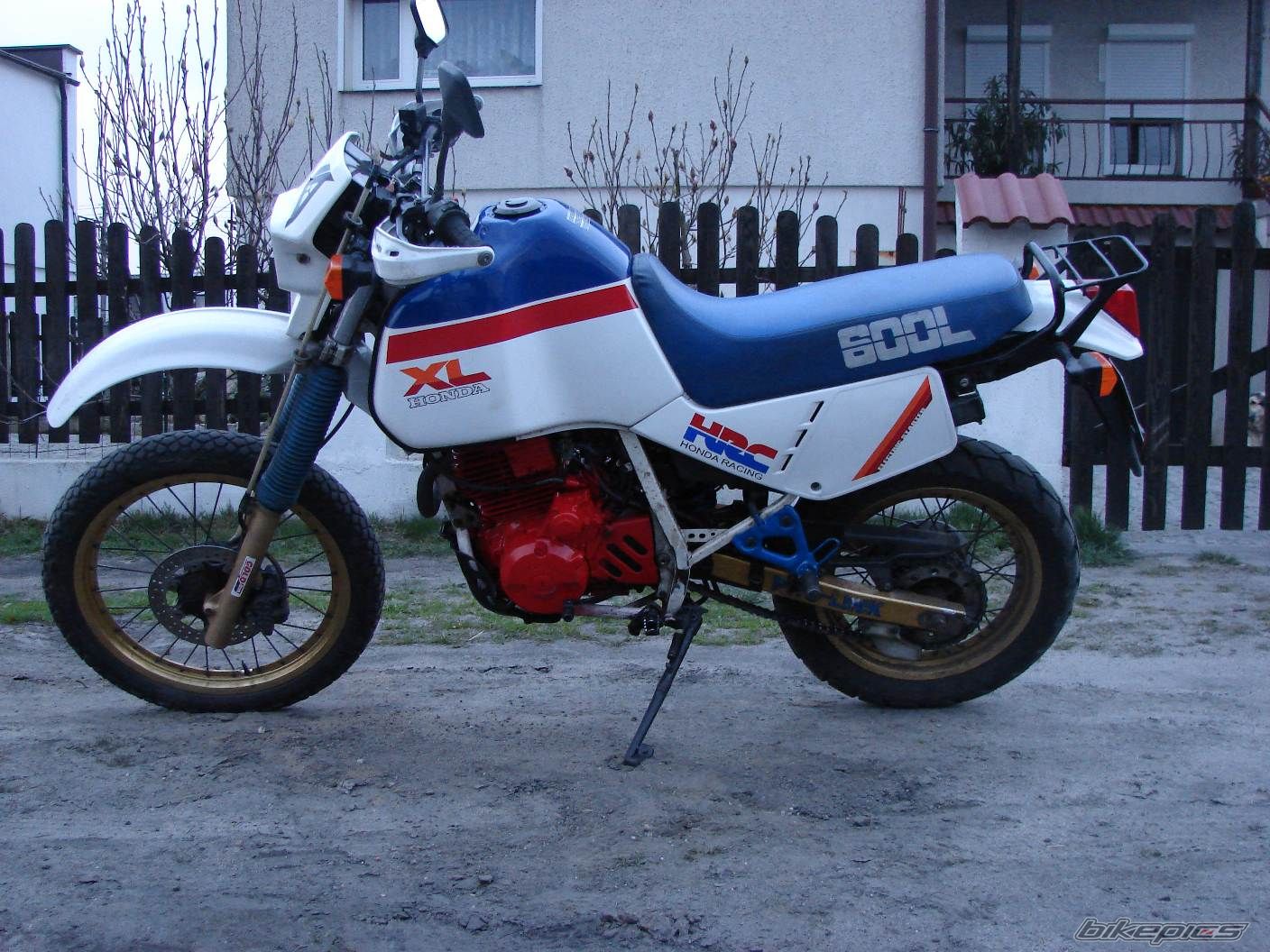 1986 HONDA XL 600 | Picture 845146 motorcycle photo