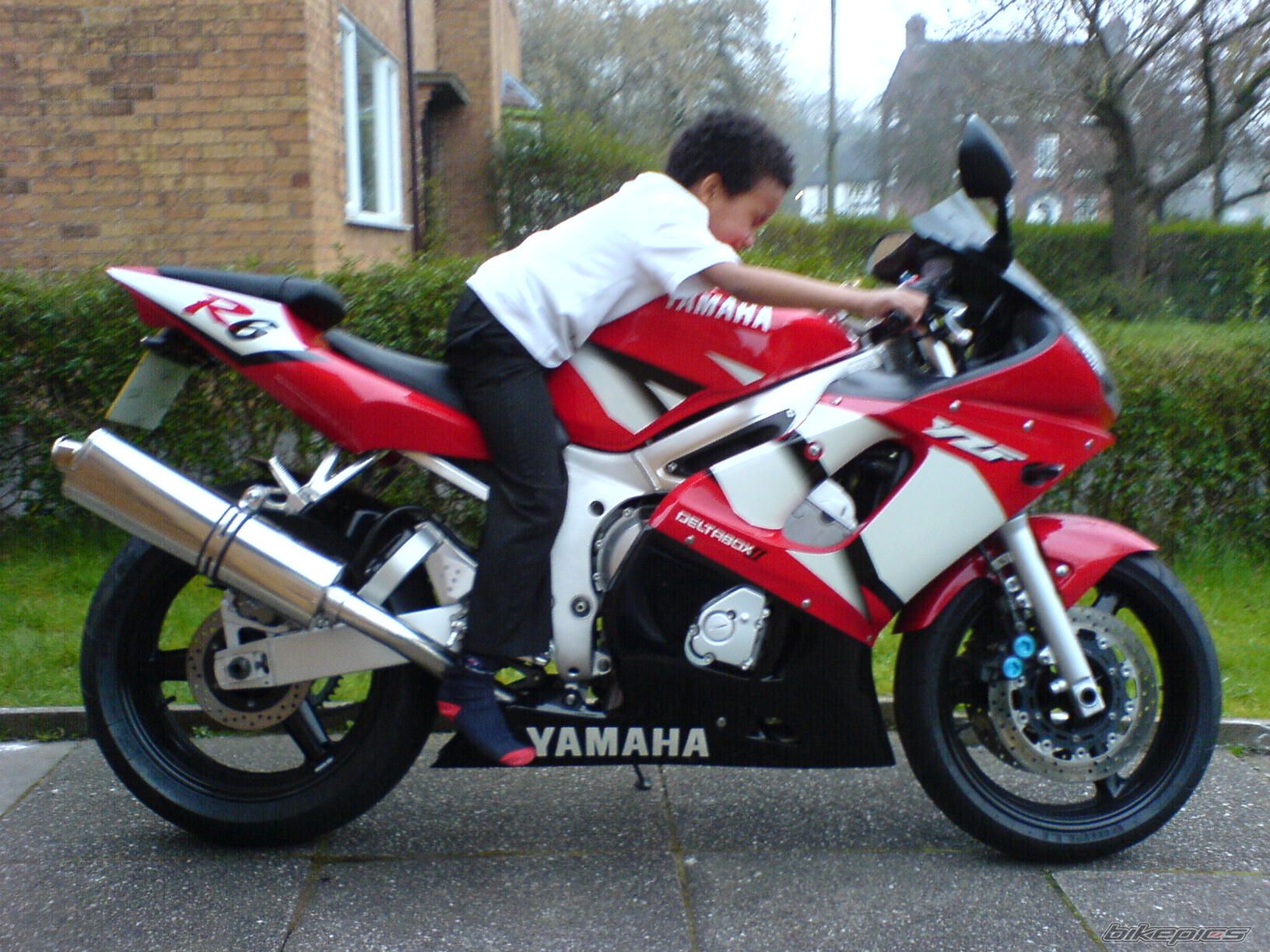 2002 YAMAHA YZF R6 | Picture 845809 motorcycle photo