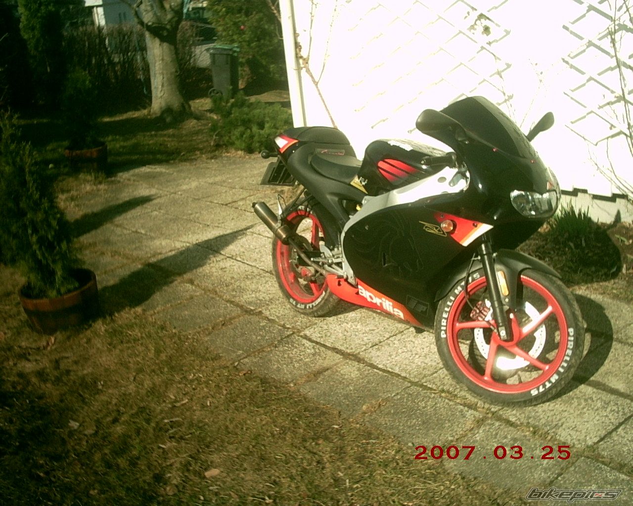 2004 APRILIA RS 50 | Picture 846260 motorcycle photo