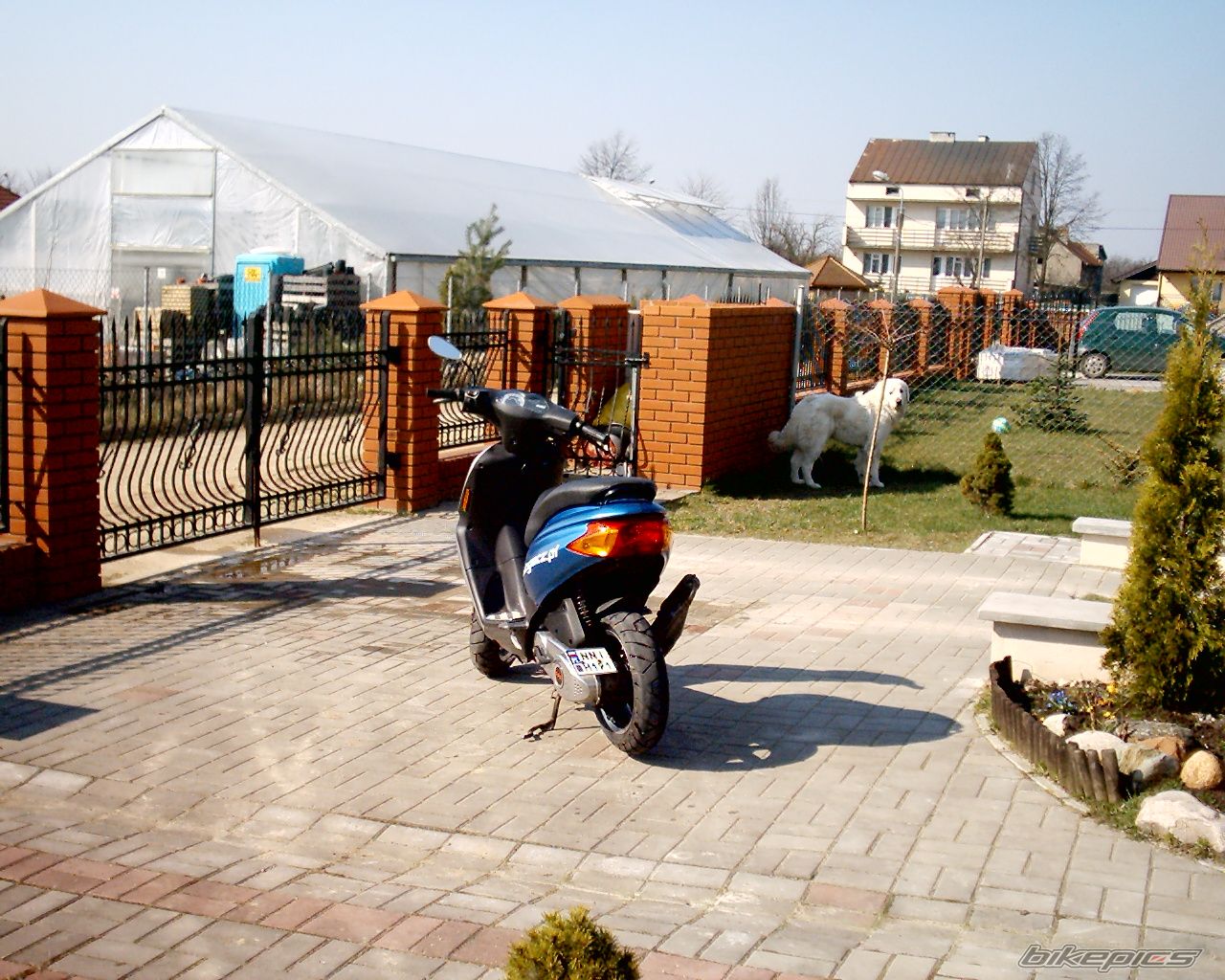 2002 DERBI ATLANTIS | Picture 847556 motorcycle photo