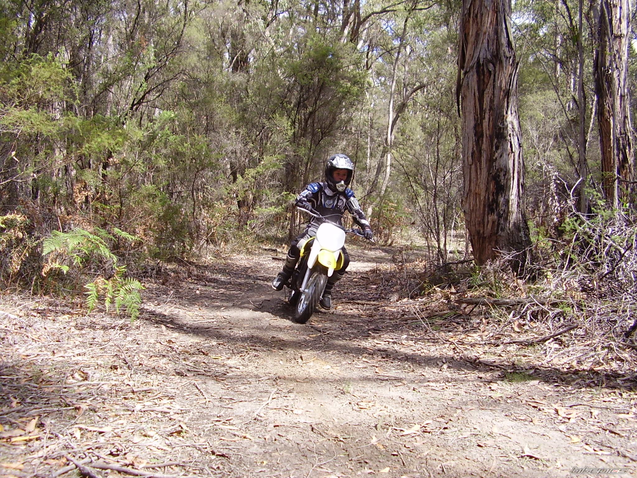 2006 SUZUKI JR 80 | Picture 847618 motorcycle photo