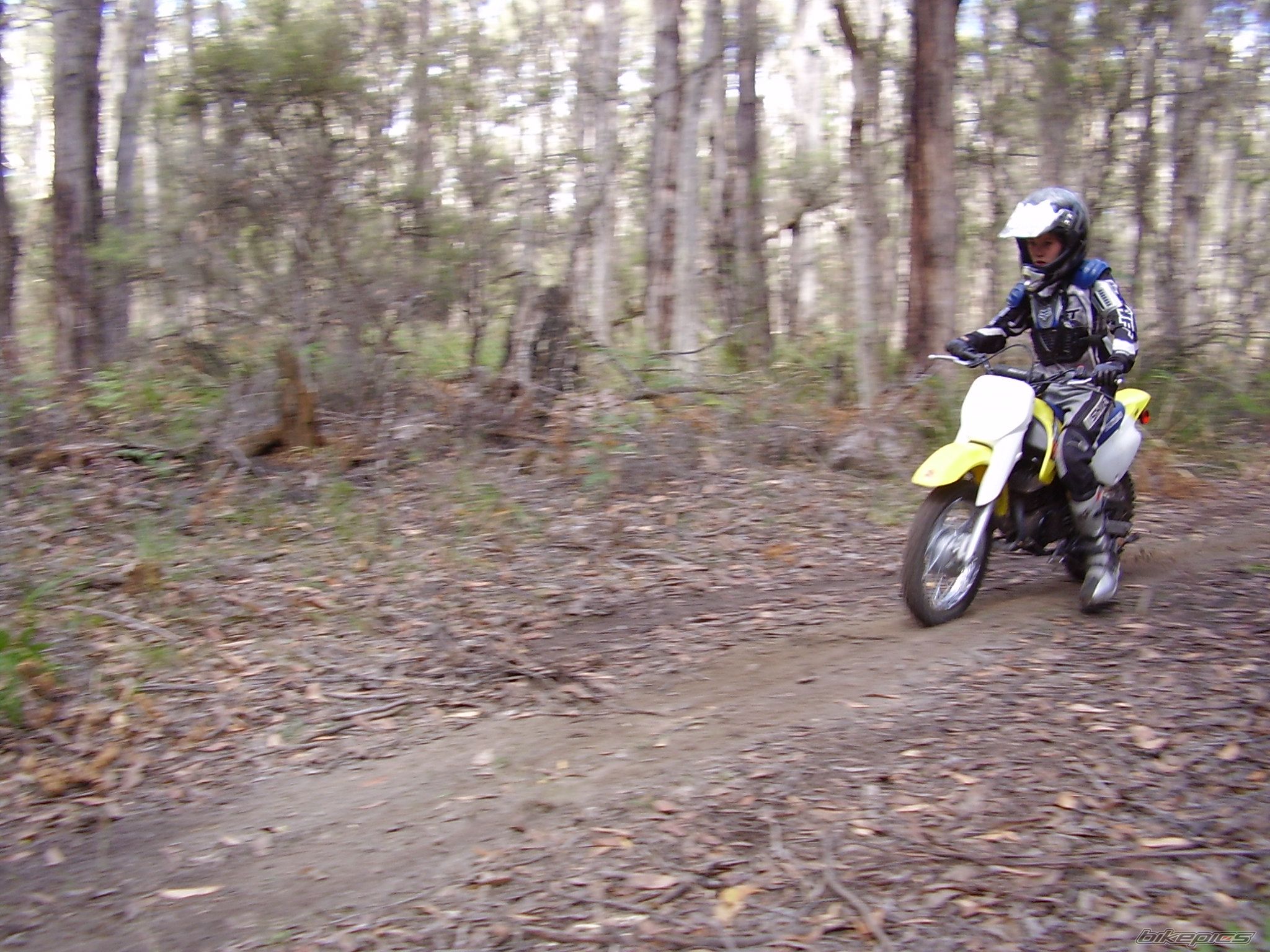 2006 SUZUKI JR 80 | Picture 847621 motorcycle photo