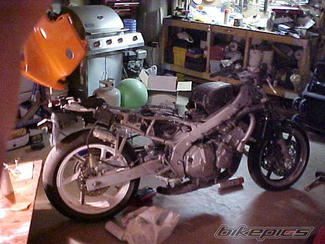 1995 HONDA CBR 600 | Picture 847907 motorcycle photo
