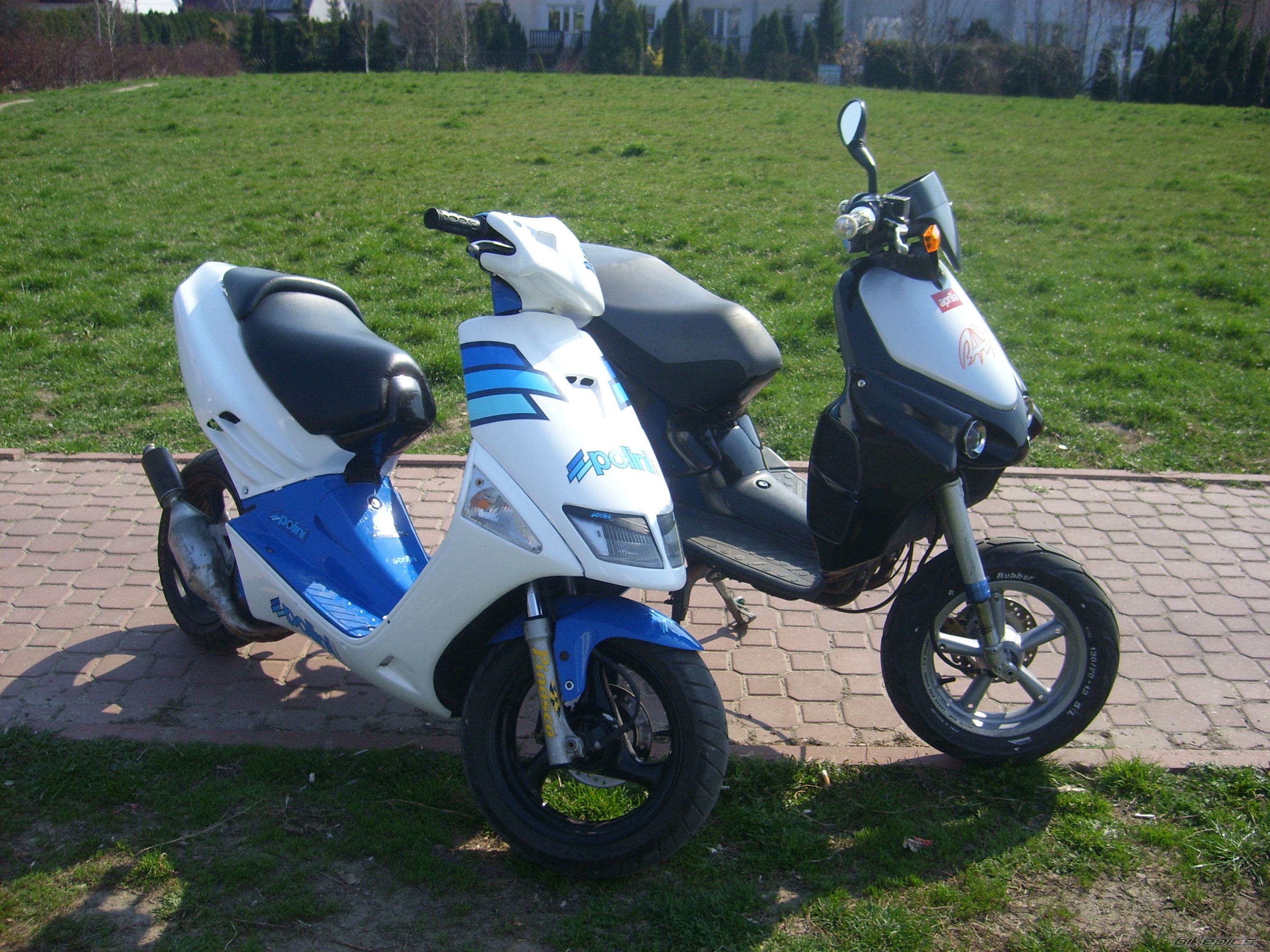 1993 APRILIA SR 50 | Picture 848384 motorcycle photo