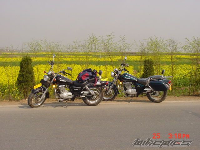 2006 SUZUKI MARAUDER GZ 125 | Picture 848630 motorcycle photo