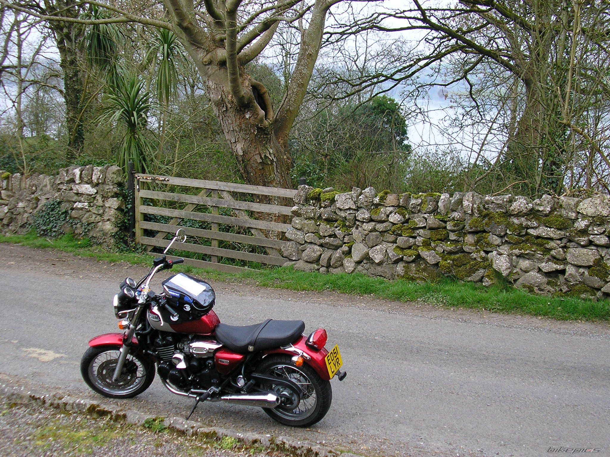 2001 TRIUMPH LEGEND TT | Picture 848641 motorcycle photo