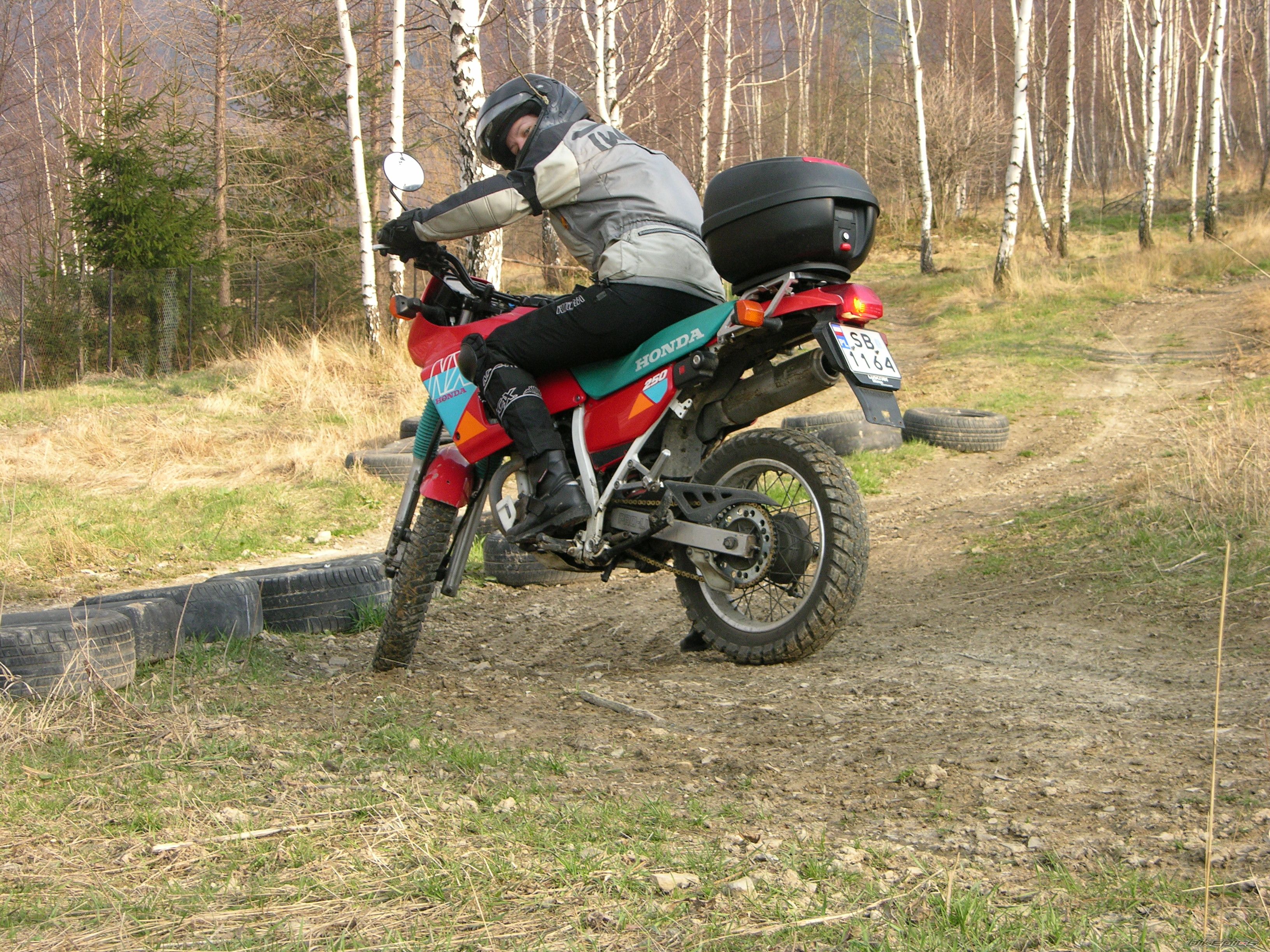 1993 HONDA NX 250 | Picture 849513 motorcycle photo