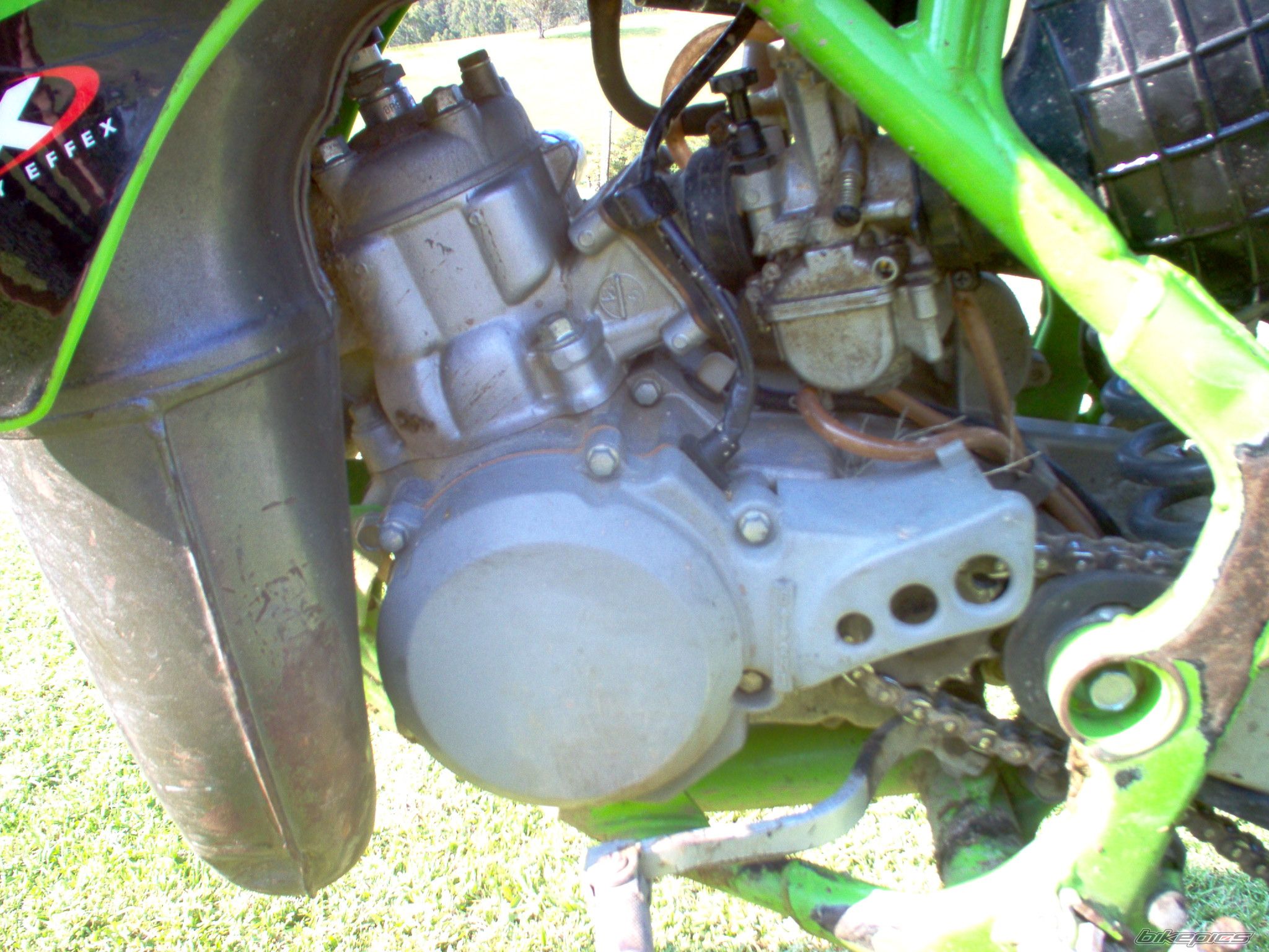 2001 KAWASAKI KX 100 | Picture 850981 motorcycle photo